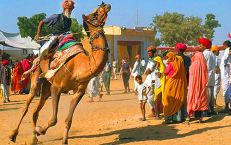 Pushkar fair