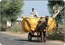 Sawai Madhopur, Rajasthan